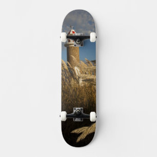 Uruguay, Departamento Montevideo, Montevideo. 2 Skateboard