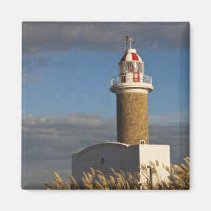 Uruguay, Departamento Montevideo, Montevideo. 3 Magnet