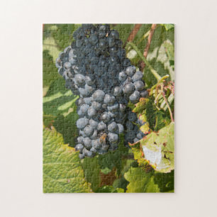 Uruguay, Montevideo, Colon Gebiet. Bodegas Puzzle