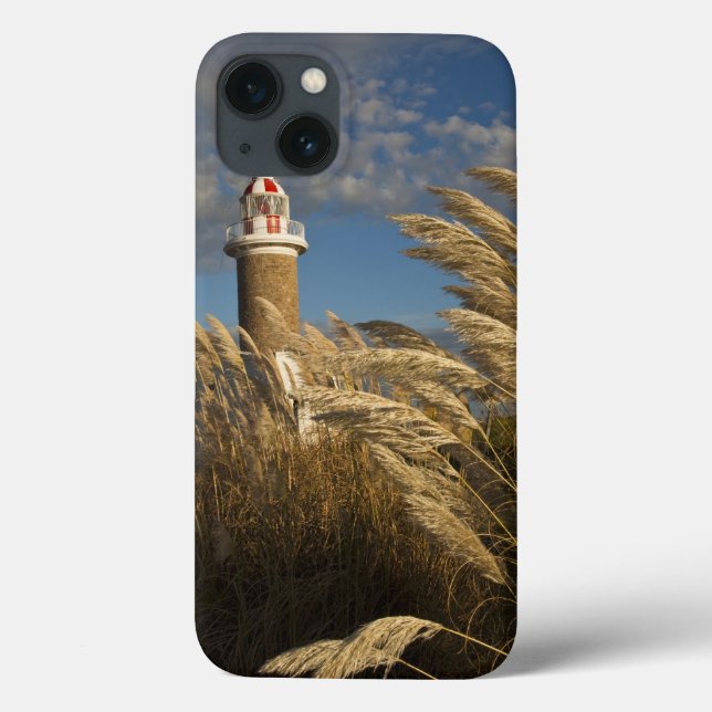 Uruguay, Montevideo Department, Montevideo. 2 Case-Mate iPhone Hülle (Rückseite)