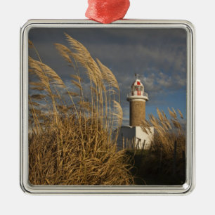Uruguay, Montevideo Department, Montevideo. Ornament Aus Metall