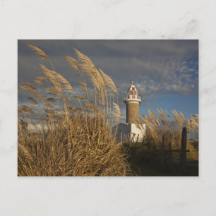 Uruguay, Montevideo Department, Montevideo. Postkarte