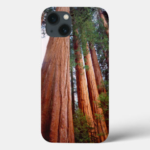Urwaldmammutbäume Case-Mate iPhone Hülle