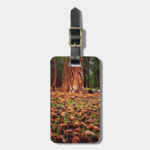 Urwüchsiger Ponderosa-Baum mit Kiefernzapfen Gepäckanhänger
