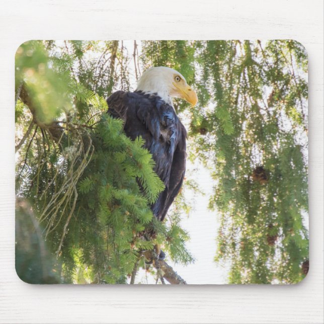 US48 TDR1627,jpg Mousepad (Vorne)