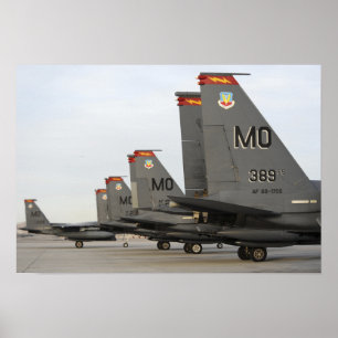 US Air Force F-15E Strike Eagles Poster