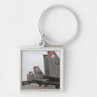 US Air Force F-15E Strike Eagles