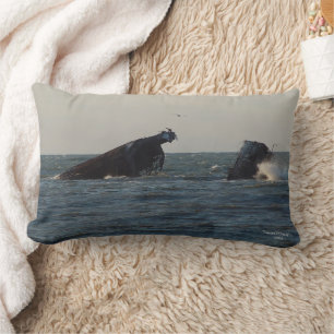 US Atlantus Concrete Shipwreck, NJ Pillow Lendenkissen