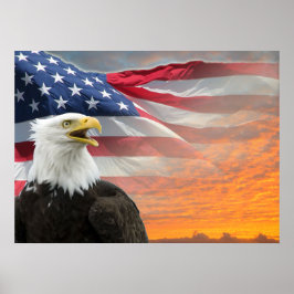 US Flag Eagle Poster