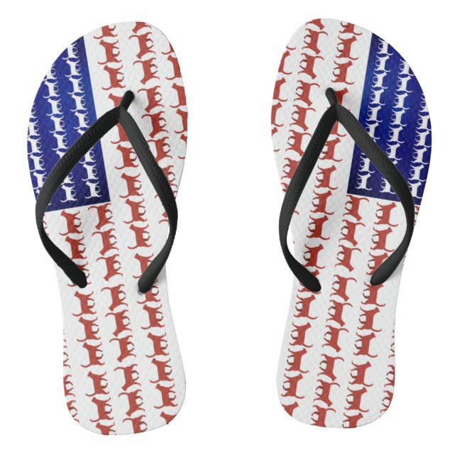 US-Flagge Katzen patriotische Dekoration Flip Flops (Fußbett)