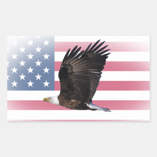 US-Flagge mit Adleraufkleber (Rechteck) Rechteckiger Aufkleber