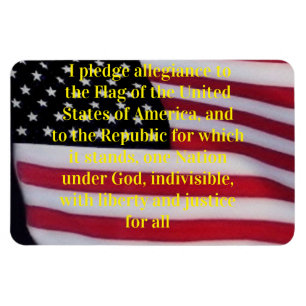 US-Flagge mit Plebemagnet Magnet