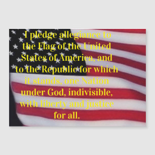 US-Flagge mit Plebemagnet Magnetkarte