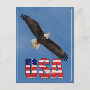 US-Flagge und Bald-Adler Postkarte