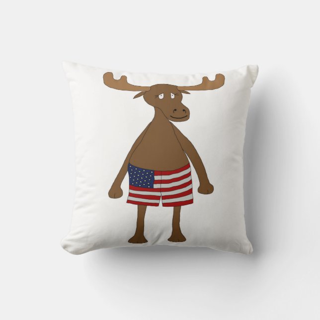 US Flagge, wie? Kissen (Vorderseite)