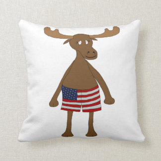 US Flagge, wie? Kissen