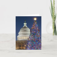 US Hauptstadt Christmas Tree 2012, Washington, DC