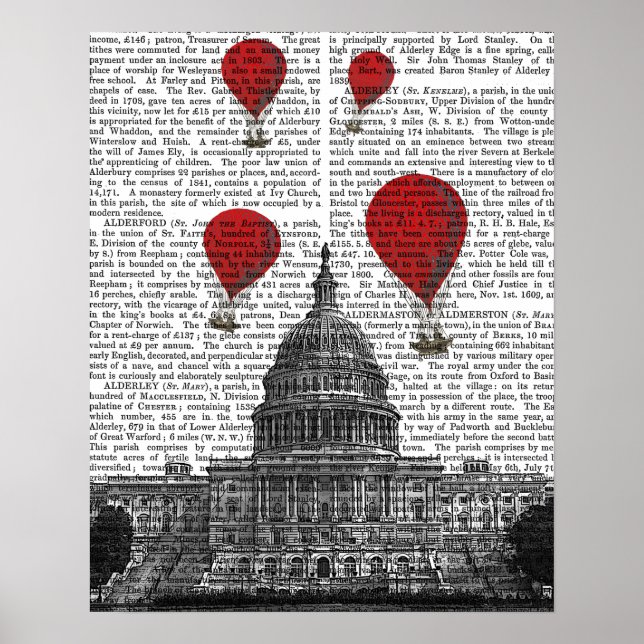 US-Hauptstadt Gebäude und Red Hot Air Balloons Poster (Vorne)