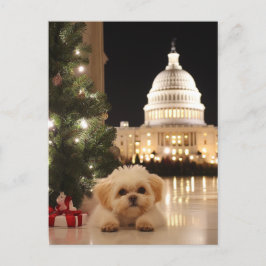 US Hauptstadt Hill Weihnachts Postkartenhund Postkarte