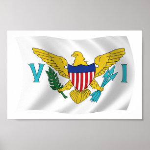 US Jungfrau Islands Flag Poster Print
