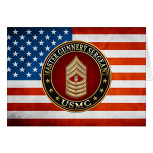 US-Marineinfanterie: Master Gunnery Sergeant (USMC