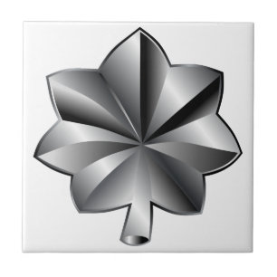US-Militärdienstgrad - Oberstleutnant Fliese