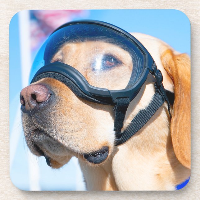 US-MILITÄRHUNDE GETRÄNKEUNTERSETZER (Vorderseite)
