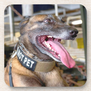 US-MILITÄRHUNDE GETRÄNKEUNTERSETZER