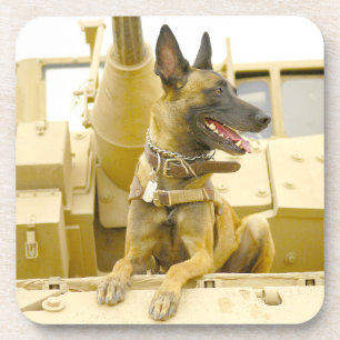 US-MILITÄRHUNDE GETRÄNKEUNTERSETZER