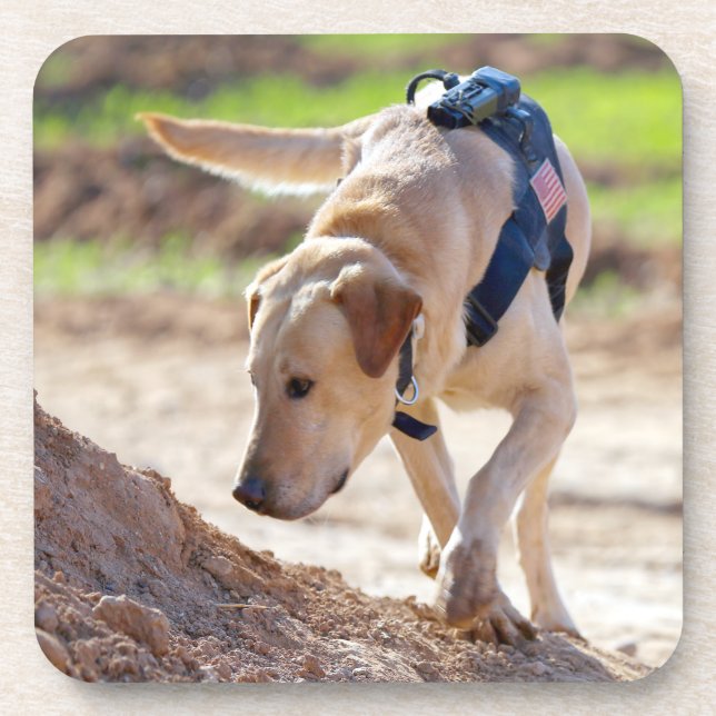 US-MILITÄRHUNDE GETRÄNKEUNTERSETZER (Vorderseite)