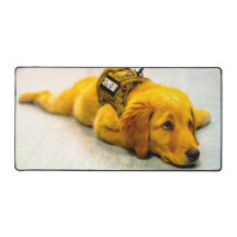 US-MILITÄRHUNDE
