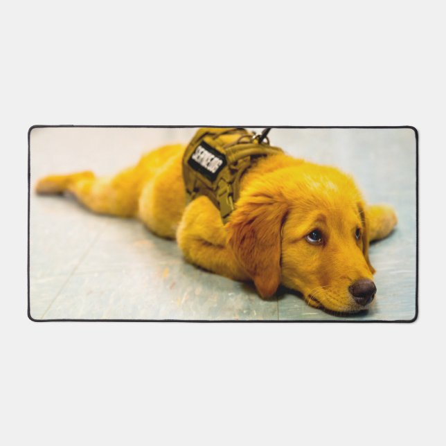 US-MILITÄRHUNDE SCHREIBTISCHUNTERLAGE (Vorderseite)