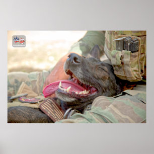 US-MILITÄRISCHER ARBEITSHUND POSTER