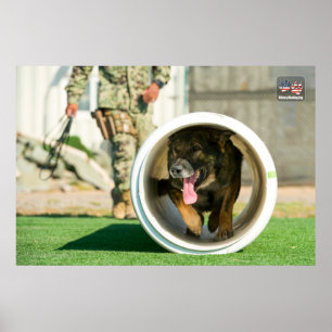 US-MILITÄRISCHER ARBEITSHUND POSTER