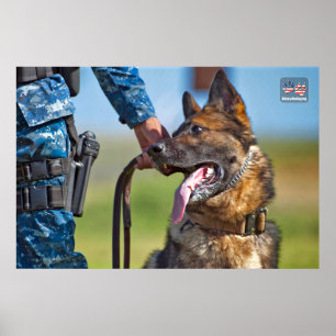 US-MILITÄRISCHER ARBEITSHUND POSTER
