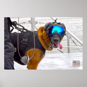 US-MILITÄRISCHER ARBEITSHUND POSTER