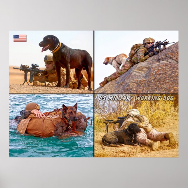 US-MILITÄRISCHER ARBEITSHUND POSTER (Vorne)