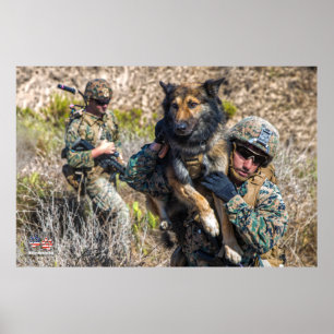 US-MILITÄRISCHER ARBEITSHUND POSTER