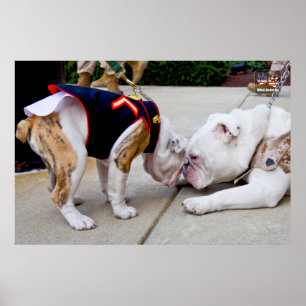 US-MILITÄRISCHER DIENST POSTER