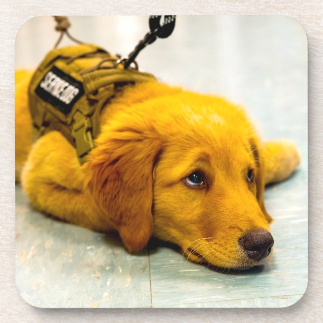 US MILITARY SERVICE DOG GETRÄNKEUNTERSETZER (Vorderseite)