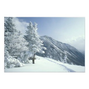 US, NH, Schnee bedeckte Bäume Trails Schneeschuh Fotodruck