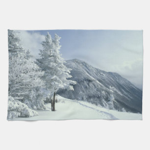 US, NH, Schnee bedeckte Bäume Trails Schneeschuh Handtuch