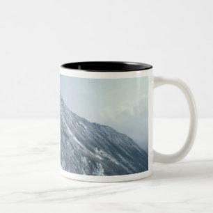 US, NH, Schnee bedeckte Bäume Trails Schneeschuh Zweifarbige Tasse