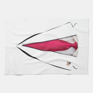 US-Präsident Trump Anzug Geschirrtuch