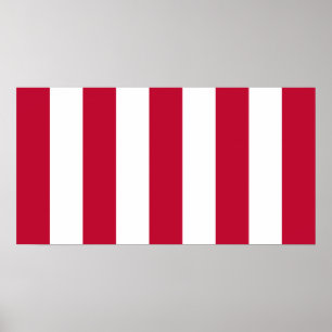 US Sons Of Liberty 9 Streifen Flagge Poster