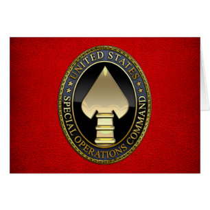 US-Spezialeinsatzkommando