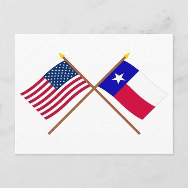 US- und Texas-Grenzflaggen Postkarte (Vorderseite)