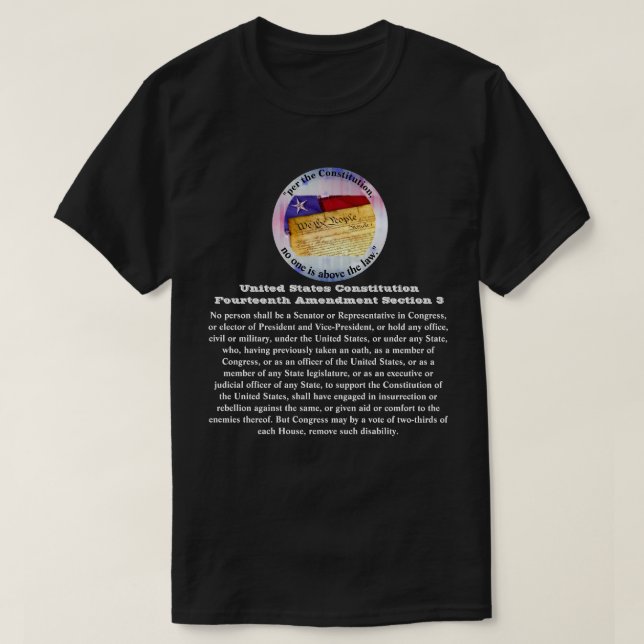 US-Verfassung Vierzehnter Änderungsantrag Abschnit T-Shirt (Design vorne)