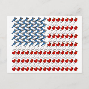 US-Vogelflagge Postkarte