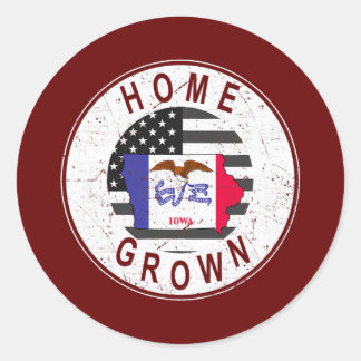 US-Zuhause Grown Iowa, US-Staatsflagge Runder Aufkleber